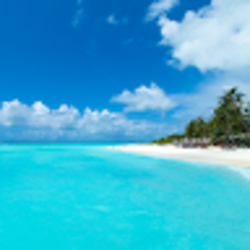 Meet your Posher, Janoshka